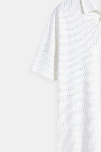 Herren Poloshirt mit Kragen und Knopfleiste